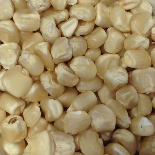 Dried maize grain product